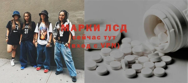 ПСИЛОЦИБИНОВЫЕ ГРИБЫ Абаза
