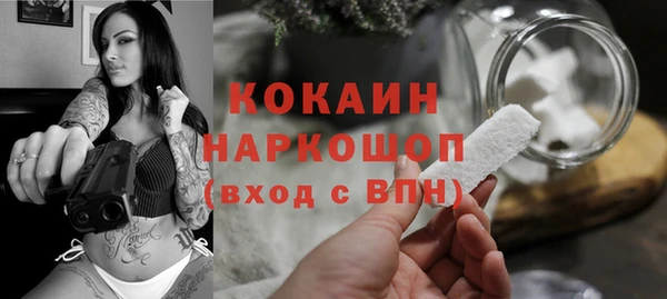 ПСИЛОЦИБИНОВЫЕ ГРИБЫ Абаза