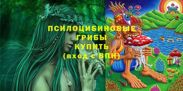 ПСИЛОЦИБИНОВЫЕ ГРИБЫ Абаза
