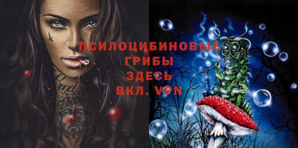 ПСИЛОЦИБИНОВЫЕ ГРИБЫ Абаза