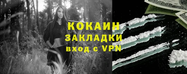 ПСИЛОЦИБИНОВЫЕ ГРИБЫ Абаза